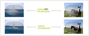 lentes polarizada