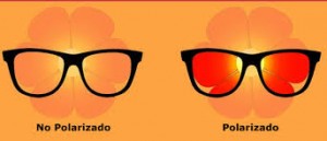 gafas de sol polarizadas