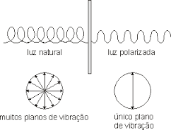 luz polarizada