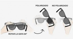 rotar gafaspolar