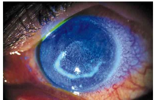 Captura de pantalla 2016-05-09 a las 13.47.56