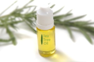Aceite de arbol del te