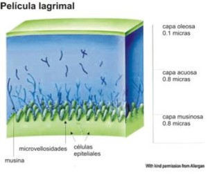 pelicula lagrimal