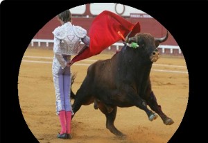 Qvision "Volver a ver las fotos de mis nietos y ver los toros por Tv, me llena de felicidad" corrida toros FINAL