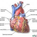 Qvision ¿Es la marihuana un tratamiento efectivo para el glaucoma? corazon