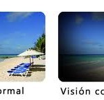 Qvision Capacidad de lectura y glaucoma vision con glaucoma