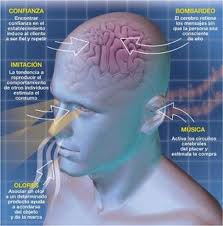 Qvision Glaucoma: Control del equilibrio somato2