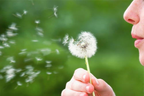 COMO-CONTROLAR-Y-PREVENIR-LAS-ALERGIAS-EN-PRIMAVERA-1