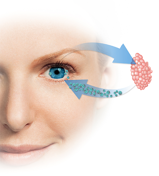 Lentes de Contacto liberadoras de fármacos en el Ojo Seco: Revisión Literatura Científica