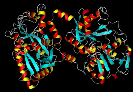 Lentes de contacto cargadas con Lactoferrina; enfoque terapeútico.