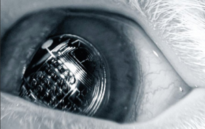 Qvision Lente de contacto: ¿Cúal será su utilidad en un futuro? Captura de pantalla 2012 11 04 a las 22.19.55