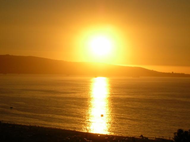 Gafas de sol: marca CE.