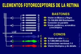 VISION DEL COLOR.I PARTE