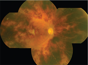 027_rs0316_HORV_ja2_RK.indd